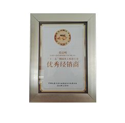 榮譽(yù)證書(shū)11